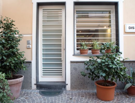 Drone Inspection Service