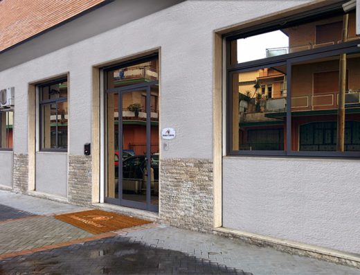 Professional Service